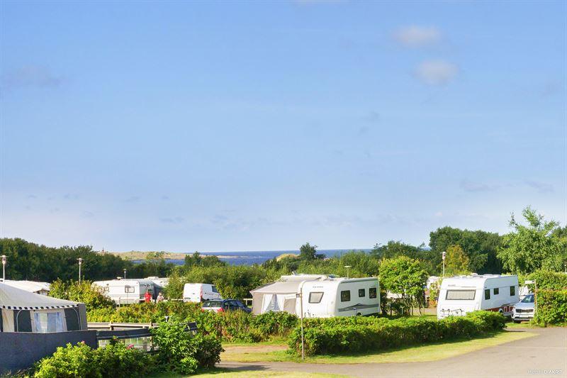 Augustirekord för First Camp
