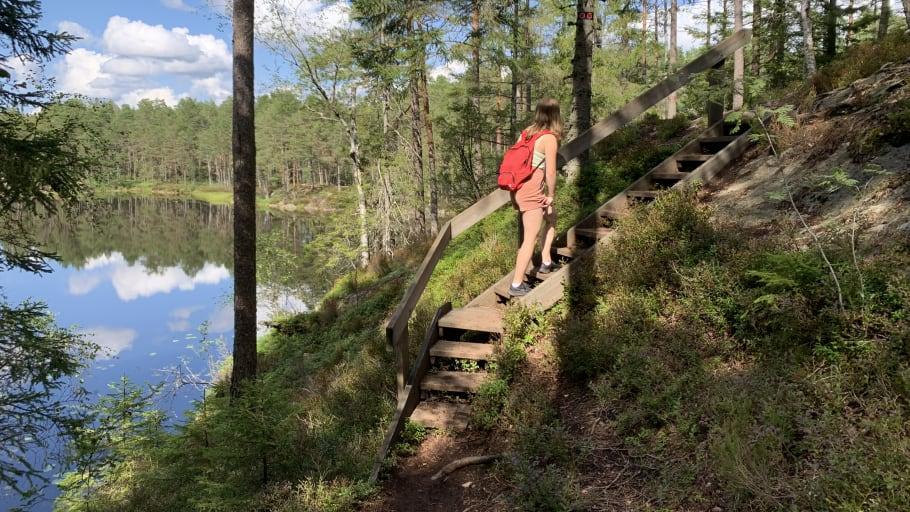 Tresticklans nationalpark firar 25 år