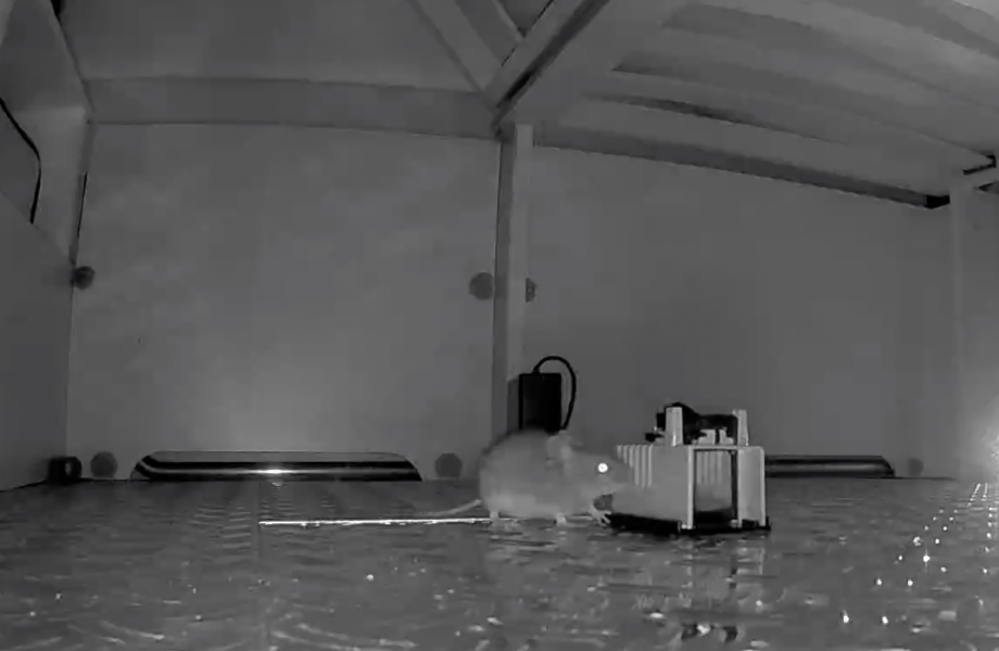 En övervakningskamera plus en elektrisk musskrämma och en musfälla i husbilen. Se filmen längre ned i artikeln. Filmat av Robin Skogward på Autohallen Husbilar i hans privata husbil.