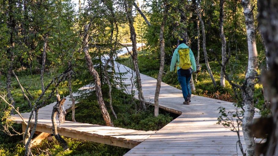Panoramaleden i Lofsdalen får Härjedalens kommuns tillgänglighetspris 2021