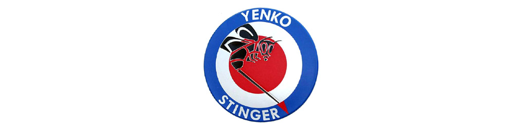 Corvair med sting