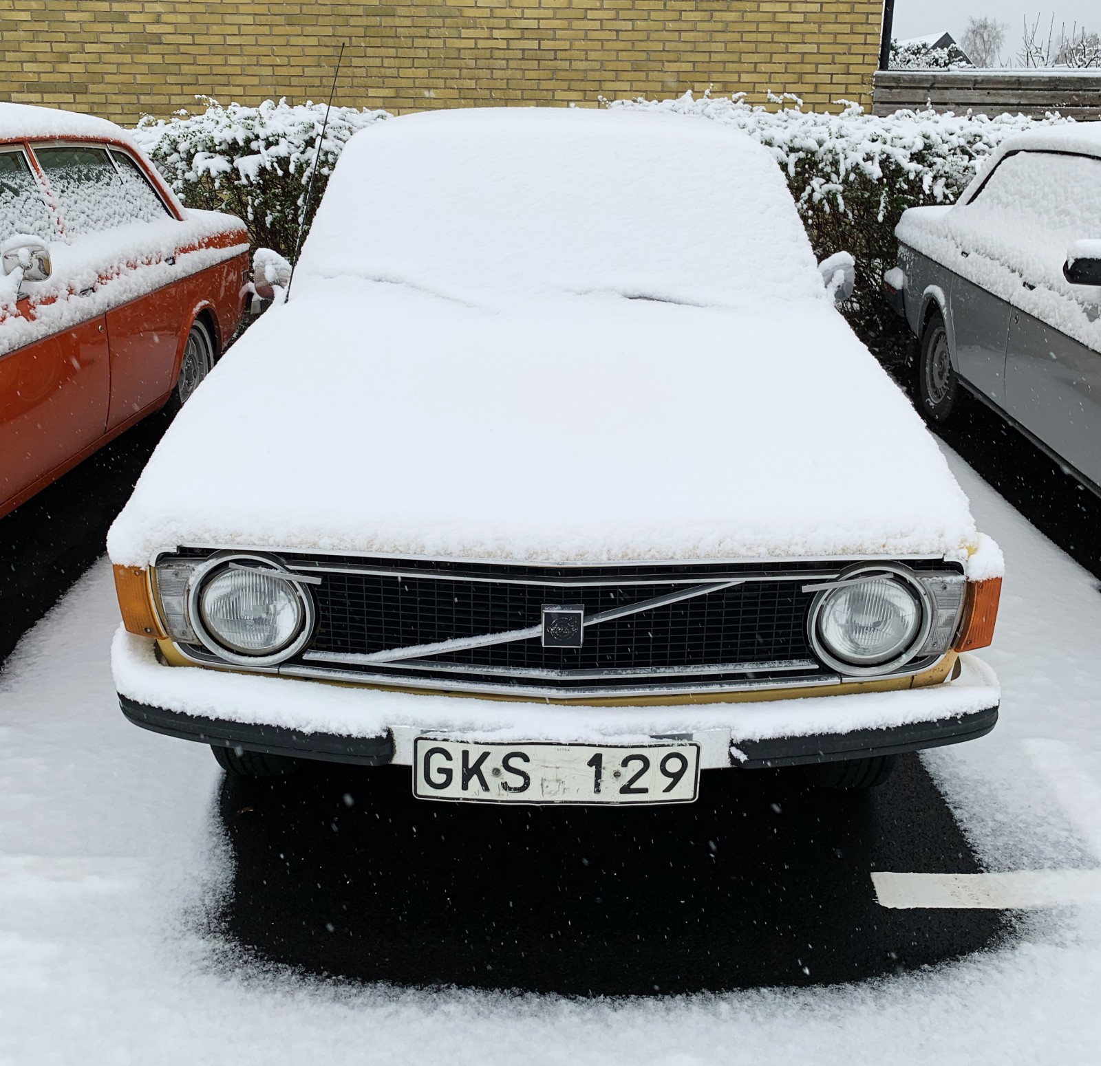 Färg i vardagen!
