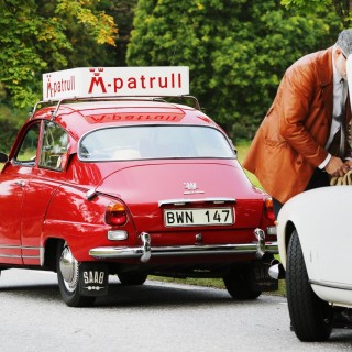 Gibbs Saab Monte Carlo Klassiker