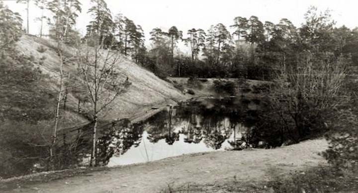 Ödledammarna