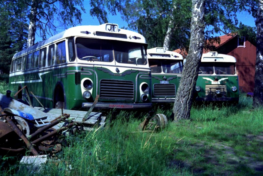 Förlängning av livhanken