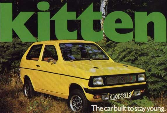 Quiz: Kattdjur i bildjungeln