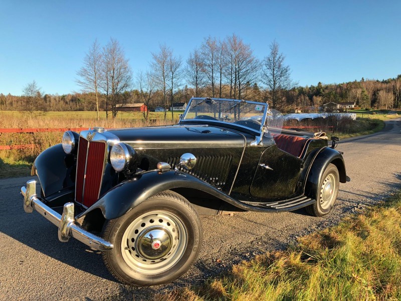 Hundra klassiker söker nya ägare!