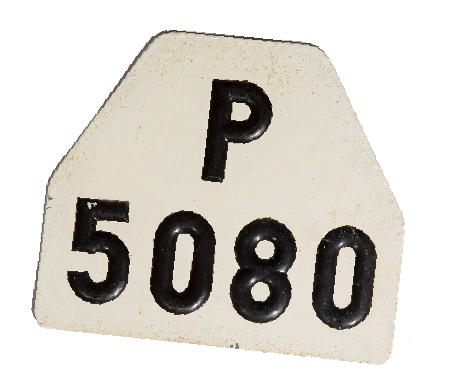 Sök på 75 000 fordon i P-län 1962!