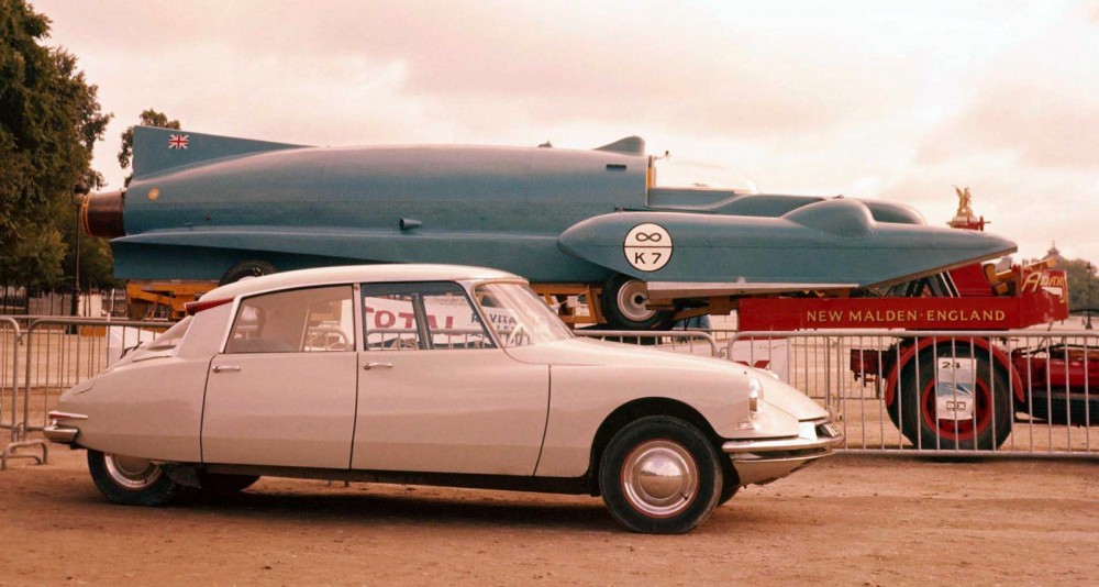 Campbells Bluebird