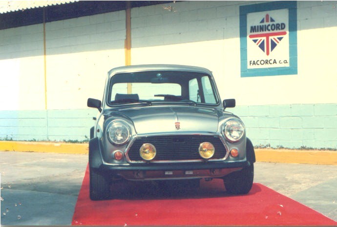 Minin från Venezuela - Minicord