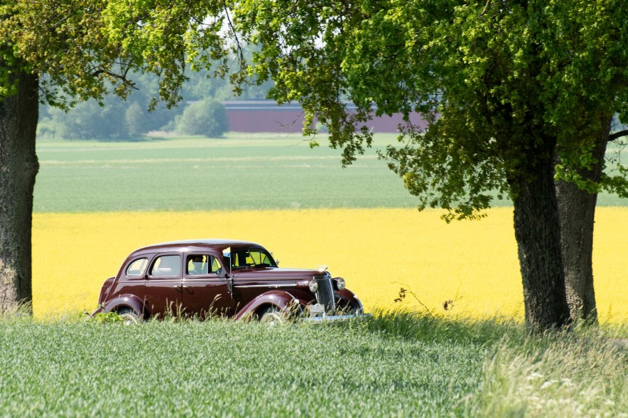 Det kommer en sommar!