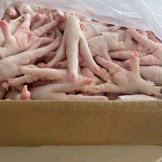 Wholesale Suppliers Premium Quality Halal Frozen Whole Chicken And Chicken Parts
