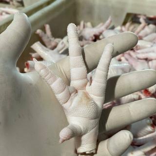 Wholesale Suppliers Premium Quality Halal Frozen Whole Chicken And Chicken Parts