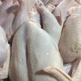Wholesale Suppliers Premium Quality Halal Frozen Whole Chicken And Chicken Parts