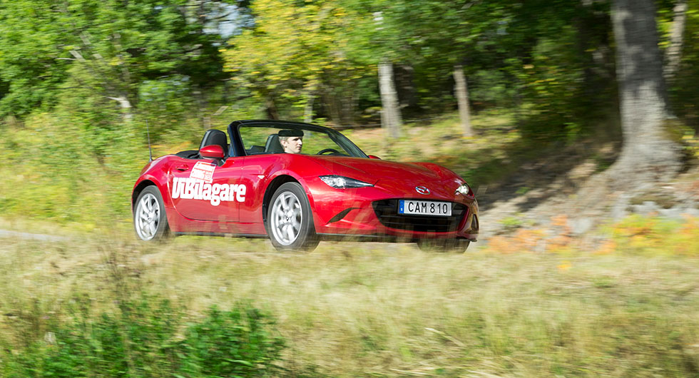 Populäraste cabbarna