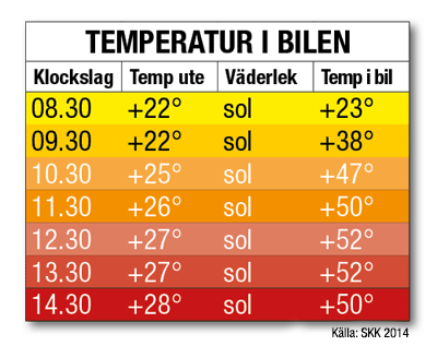 Då bör du krossa en ruta för att rädda hund eller barn