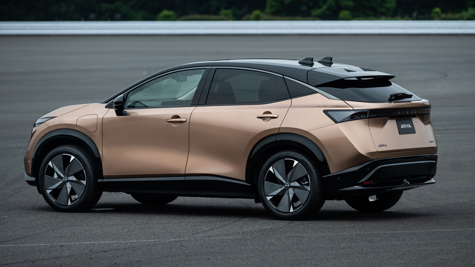 Nissan Ariya.