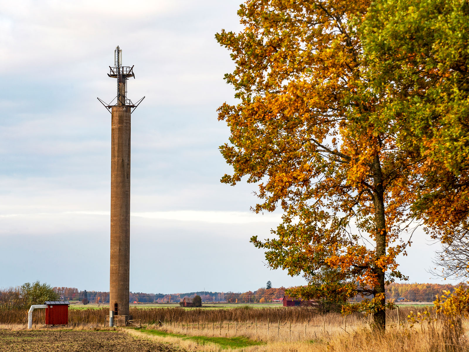 En utrotningshotad art men stolpen vid Arbogaån lever vidare som mobilmast.