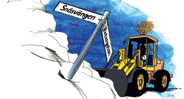 Bilfrågan: Skadestånd för häck?