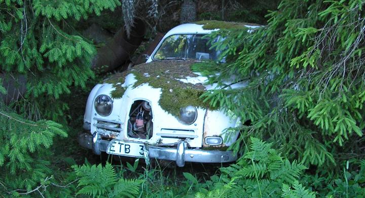 Bilfrågan: Är tvåtaktsmotorn död?