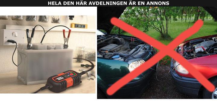 Vinterns bästa underhållning