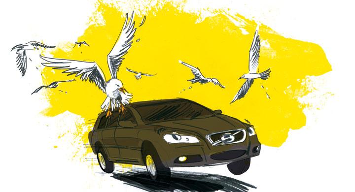Bilfrågan: Ska inte lacken tåla träck?