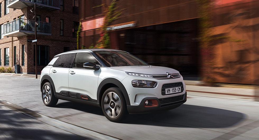 C4 Cactus dumpar kuddarna