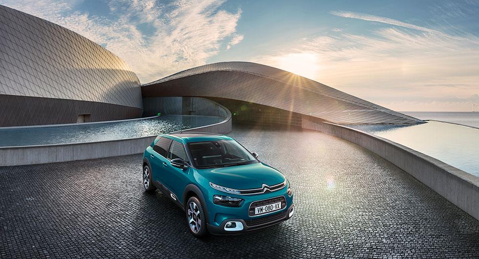 C4 Cactus dumpar kuddarna