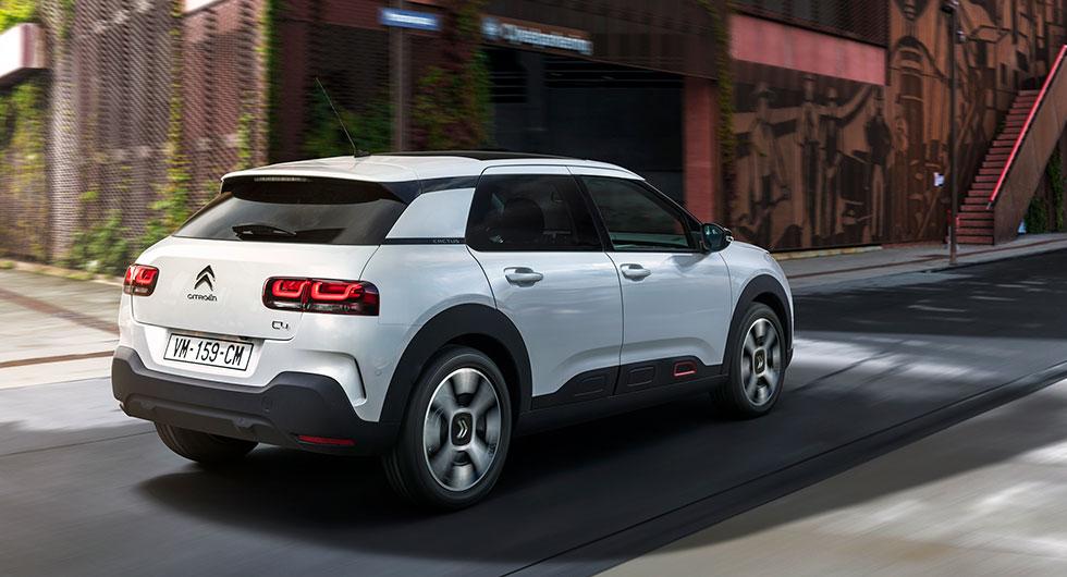C4 Cactus dumpar kuddarna