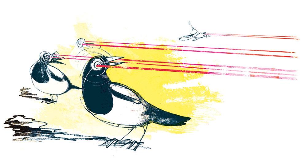 Frågeställaren undrar om moderna bilars utrustning med laser och radar kan förvirra fåglar. Illustration: Johan Isaksson.