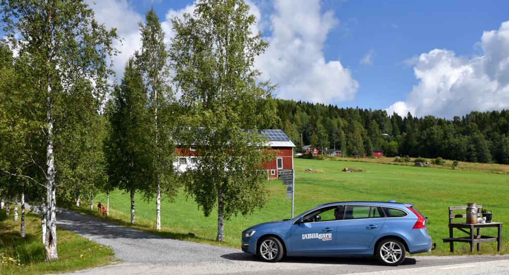 ”Bo på lantgård” står det på skylten vid vägen. Det ser trevligt ut så vi följer allén upp till gården.