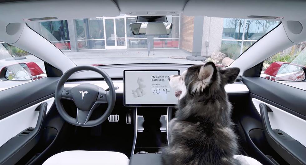 Tesla lanserar hund-läge