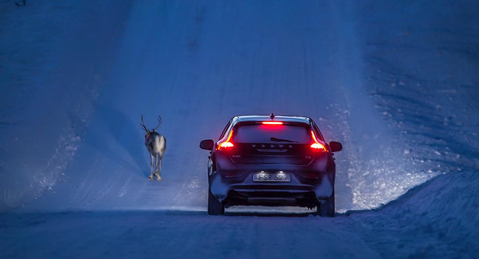 Svenskarna tycker att norrlänningar kör bäst