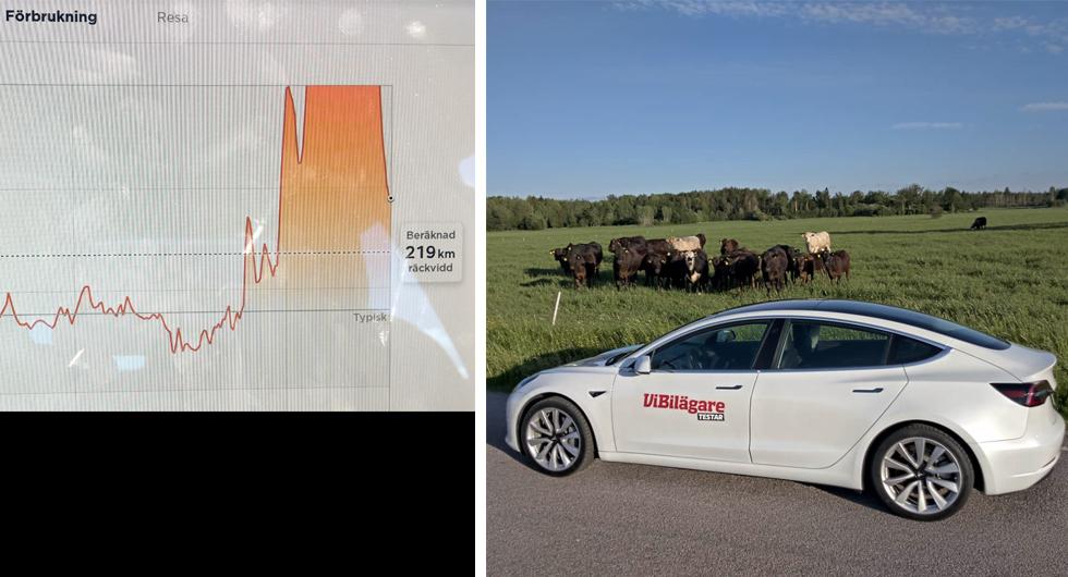 Häftig kurva i Tesla 3