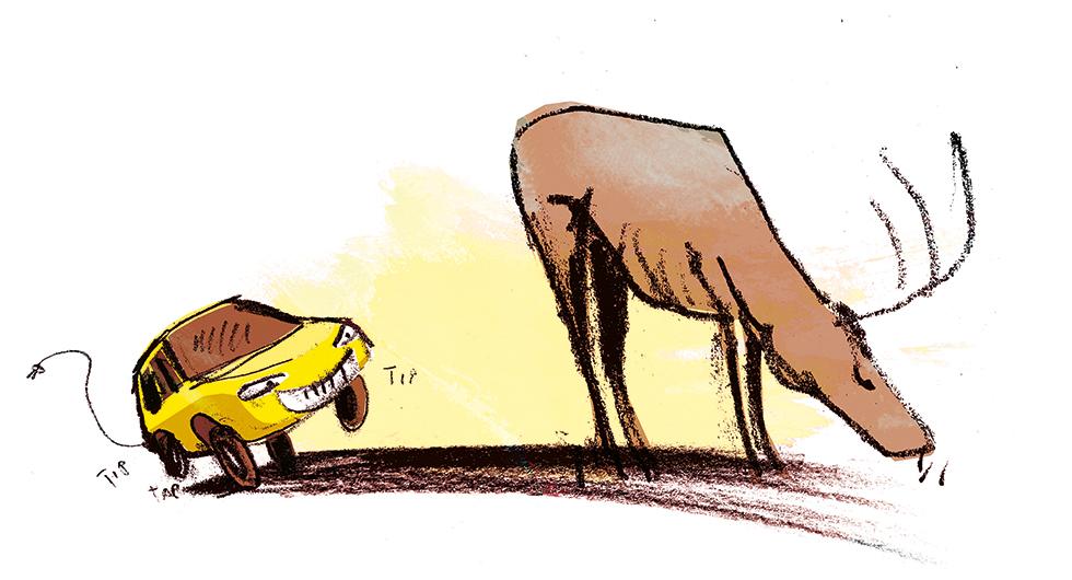 Frågeställaren undrar om en elbil skulle vara mer osäker att köra i vilttätt område områden med mycket vilt, eftersom djuren kanske inte hör att bilen kommer. Illustration: Johan Isaksson.