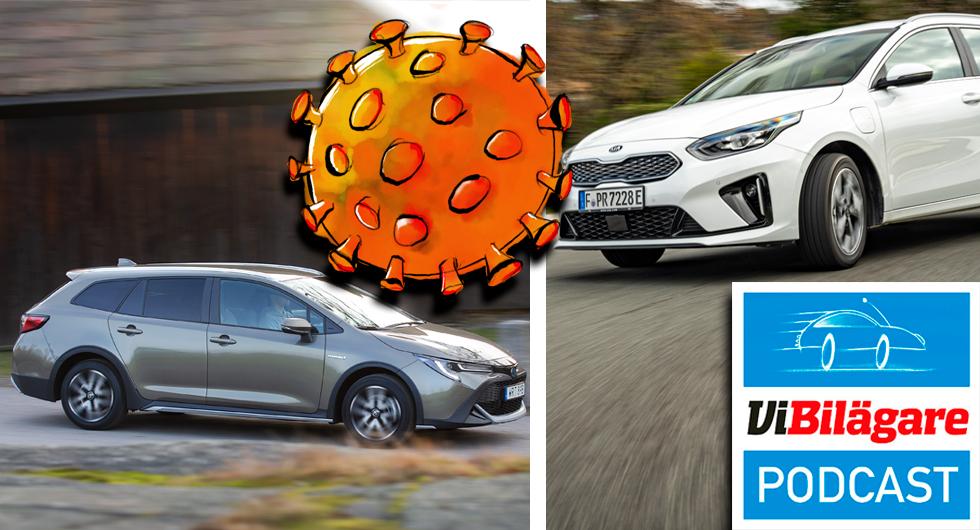 Virus i bilvärlden, pluggen och skogsmullen