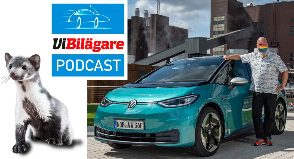 Volkswagen ID.3, biltuggande mårdar och privatköparnas favoritbil