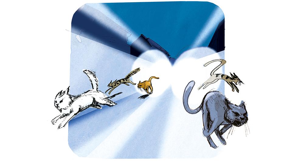 Illustration: Johan Isaksson.