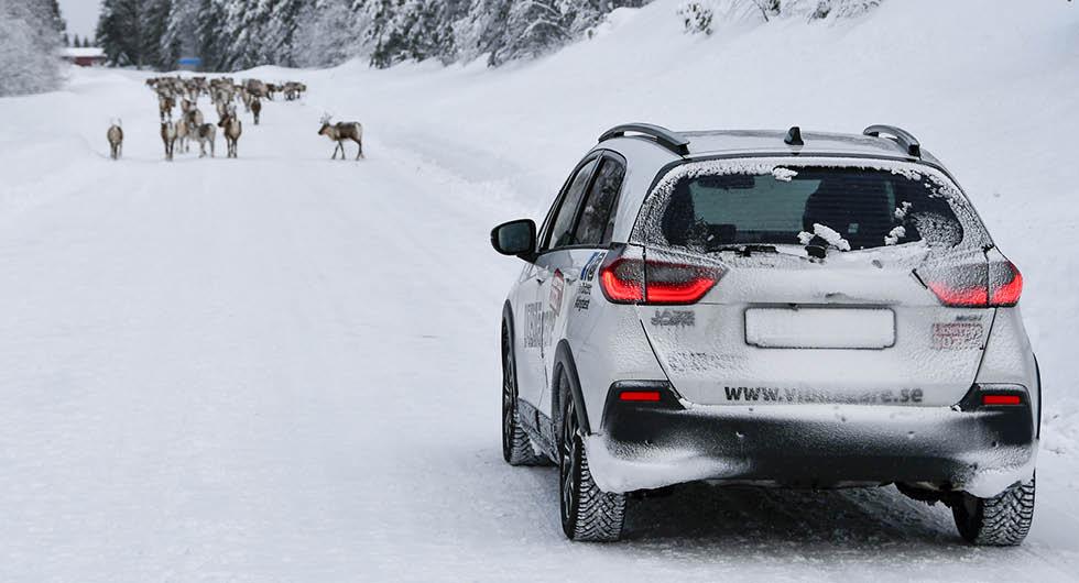 Många Norrlandsmil för Jazz Crosstar som här är på väg i riktning Jokkmokk.