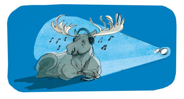 Illustration: Johan Isaksson.